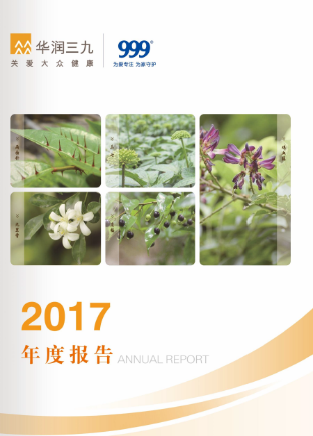 尊龙时凯：2017年年度报告